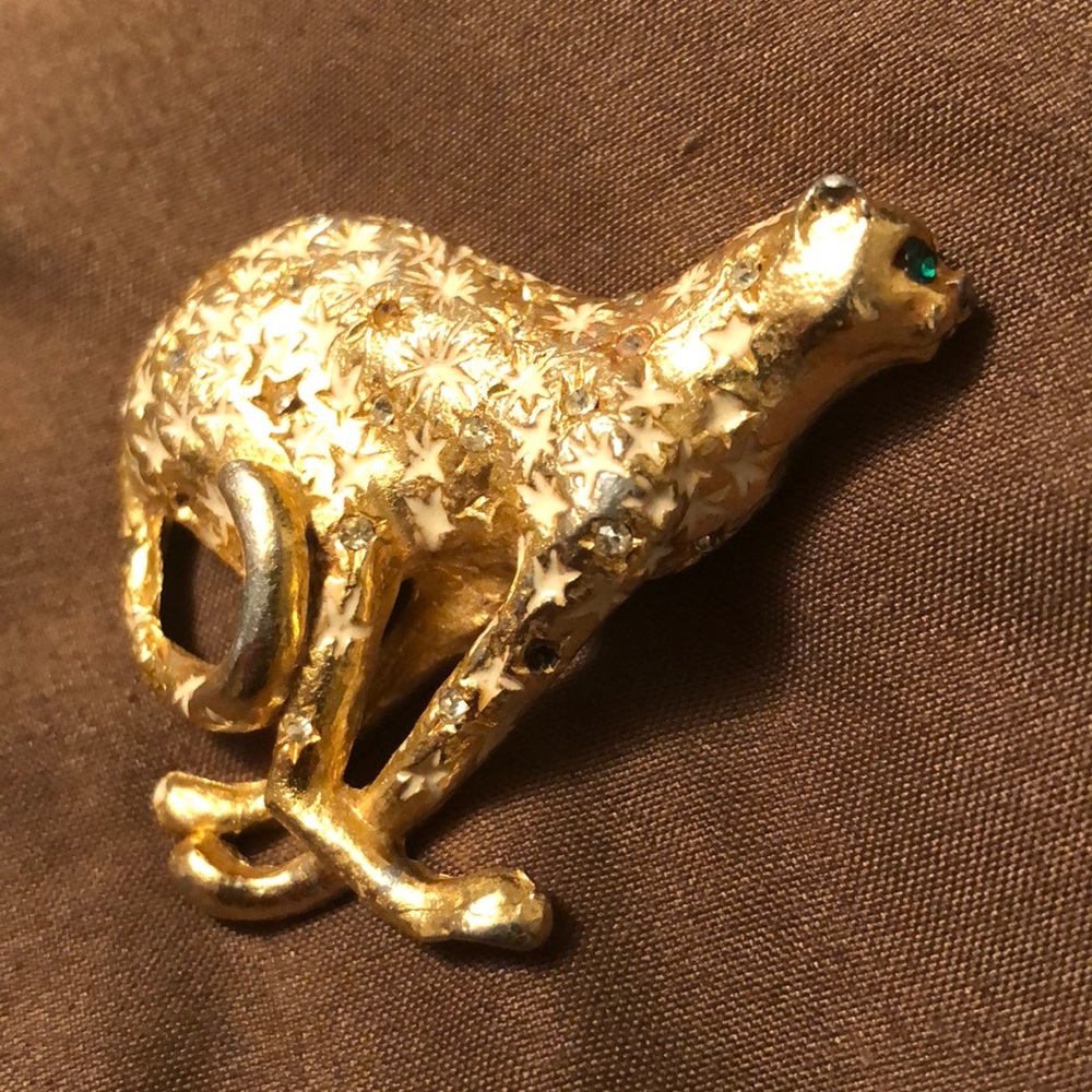 Ladies brooch